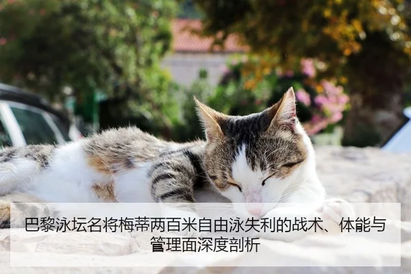 巴黎泳坛名将梅蒂两百米自由泳失利的战术、体能与管理面深度剖析